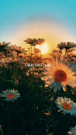 Allah is with you