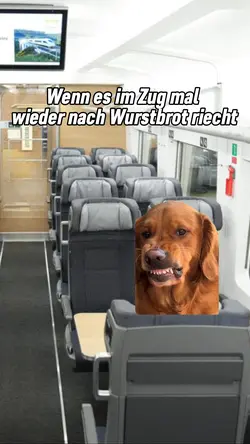 Hund ihh meme