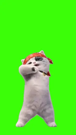 Cat/Gato.
