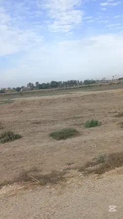 حیدر کرار