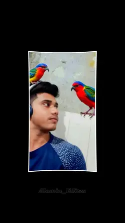 X template...?
