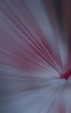 لمن بغيب السبع بتفلت