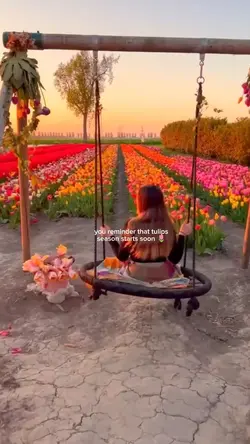 Tulips season