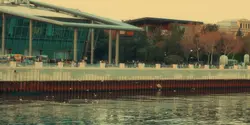 1 video landscape 