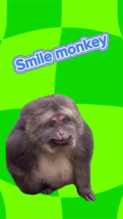 Smile monkey 