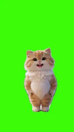 Cat/Gato.