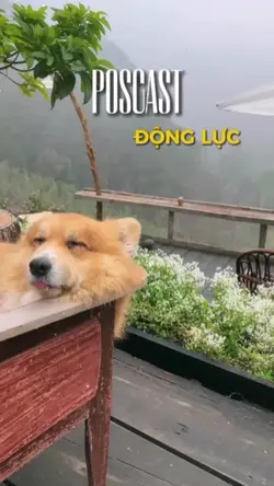 Poscast Động lực