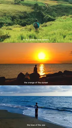 Savana sunset sea
