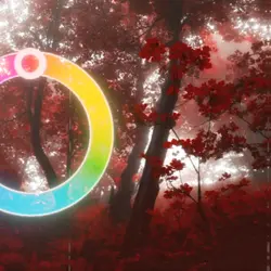 colorwheel trend