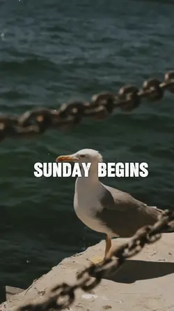 good morning