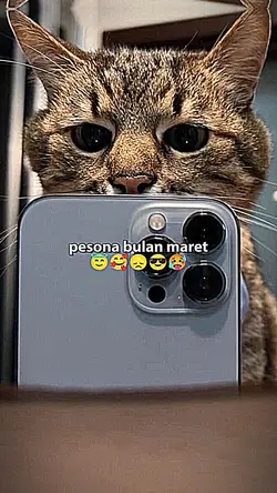maret dump 
