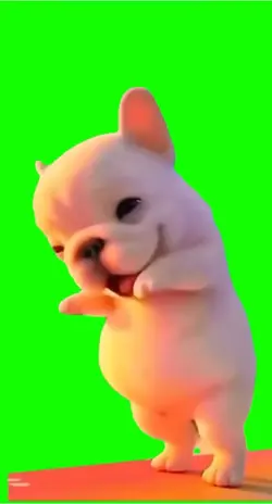 Dog do Way you are