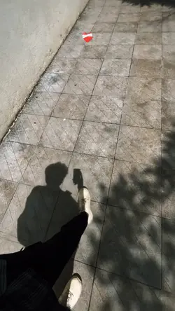 Sad Lines .