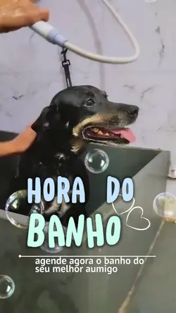hora do banho