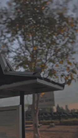 Cinematic 5 klip 