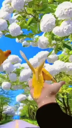 ទំនួញចាបមាស