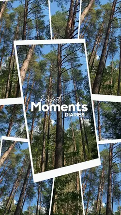 Perfect moments