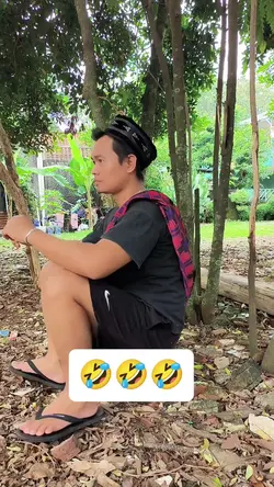 burung jailin kucing