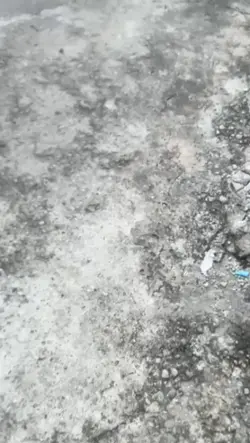 4 klip old