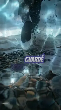 guarde todo  dentro