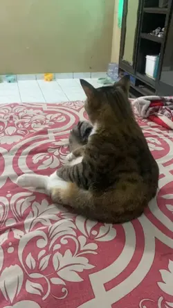 suara Mak Lampir 