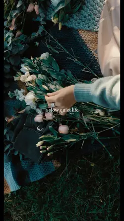 quite life