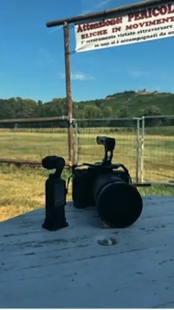 Shot