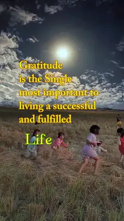 Gratitude 