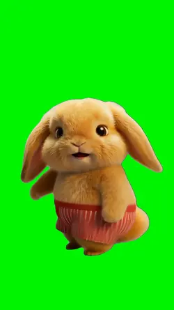 Cute Bunny Dance