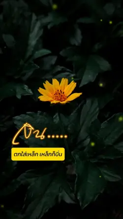 เงินตัดได้ทุกอย่าง