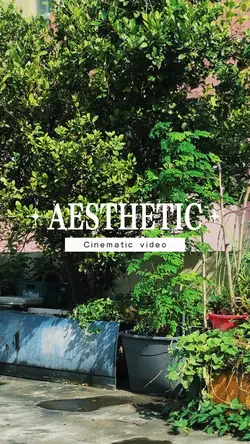 Aesthetic video