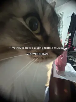 musicals 