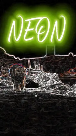 NEON 