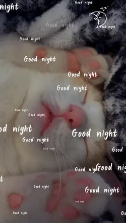 Good night