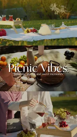Picnic Vibes🧺