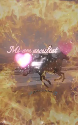 Muzică_versuri