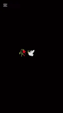 rip