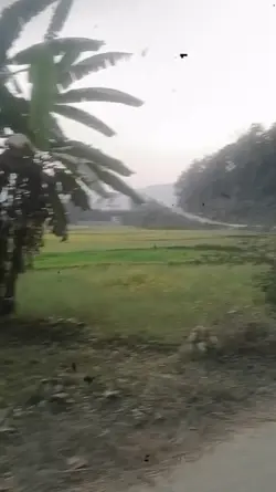 Bidesh ko pida 
