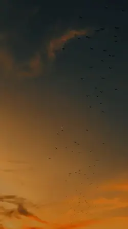 1 video sad song