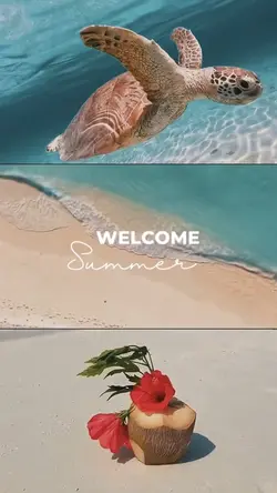Welcome Summer