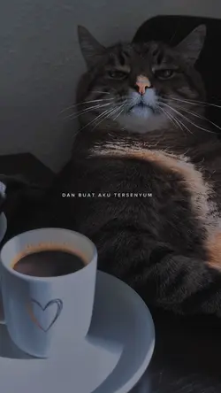 buatku tersenyum