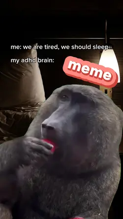 Monkey Eating Meme