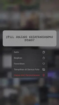 Spil anjing kesyngan