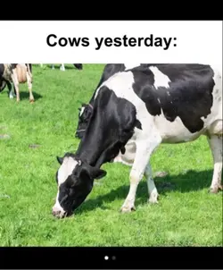 Wake up it’s 