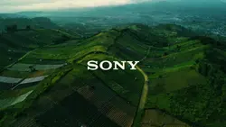 TREND CAMERA SONY