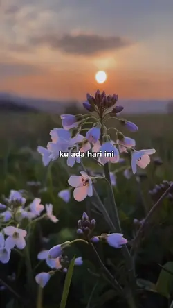 Ku ada hari ini