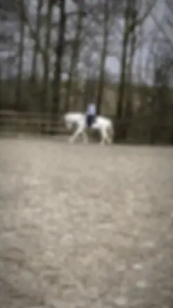 Slo mo template 