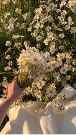 Mini vlog 