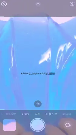 오마이걸 dolphin