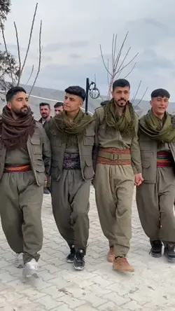 halay şablon 
